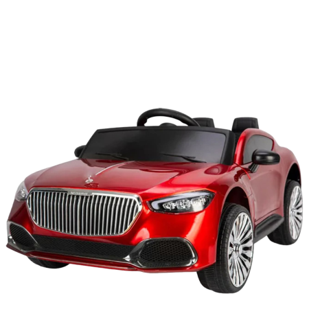 Benz Maybach series electric car (ZTN) code 2501