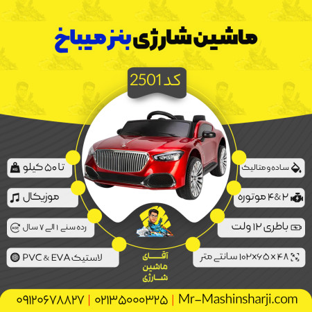 Benz Maybach series electric car (ZTN) code 2501