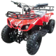 قیمت و خرید موتور بنزینی 50cc چهار چرخ ZTN کد 1449