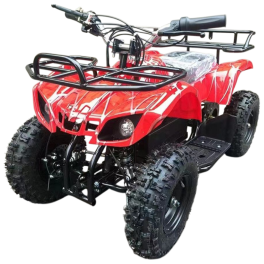 قیمت و خرید موتور بنزینی 50cc چهار چرخ ZTN کد 1449