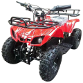موتور بنزینی 50cc چهار چرخ ZTN کد 1449