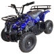قیمت و خرید موتور بنزینی 50cc چهار چرخ ZTN کد 1449