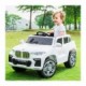 قیمت و خرید ماشین شارژی BMW سری ZTN کد 2210 | فروشگاه آقای ماشین شارژی