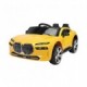 رنگ زرد ماشین شارژی BMW سری (ZTN) کد 2284